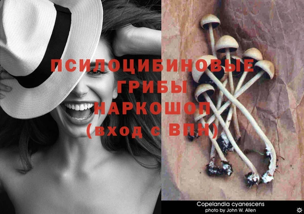 кокаин Новодвинск