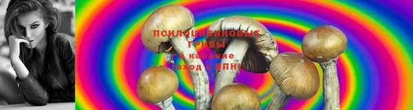кокаин Новодвинск
