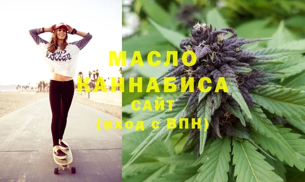 шишки Няндома