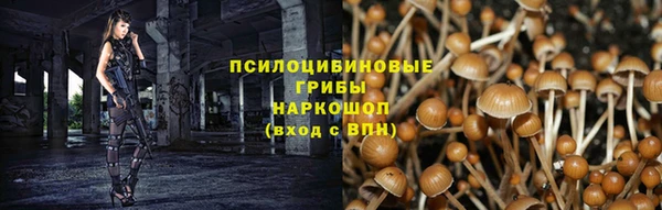 гидра Вязьма