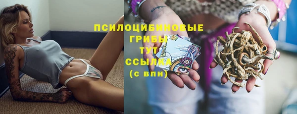 кокаин Новодвинск